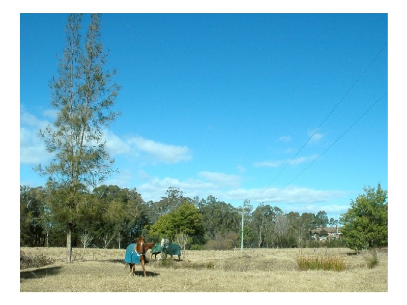 74 Tomakin Road, Mogo NSW 2536