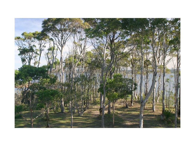 163 Northcove Road, Long Beach NSW 2536