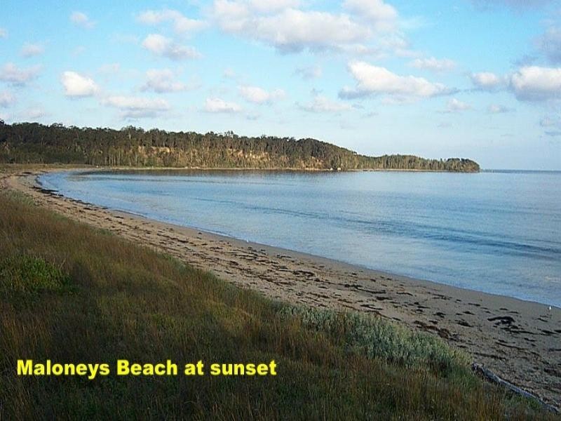 110 Maloneys Drive, Maloneys Beach NSW 2536