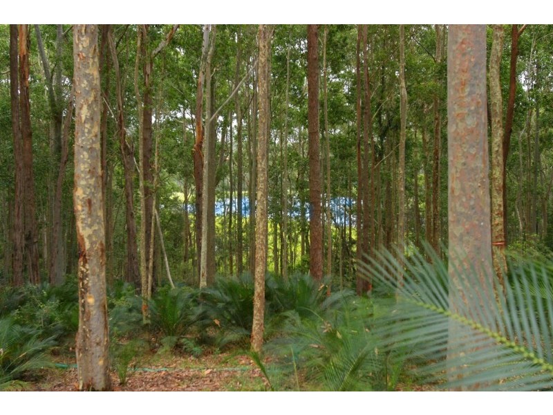 Lot 543 Sandy Place, Long Beach NSW 2536