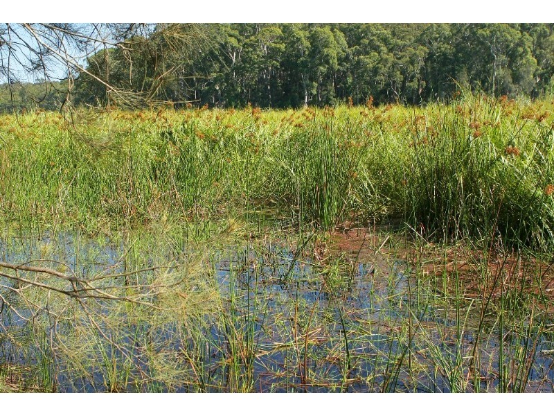 Lot 543 Sandy Place, Long Beach NSW 2536