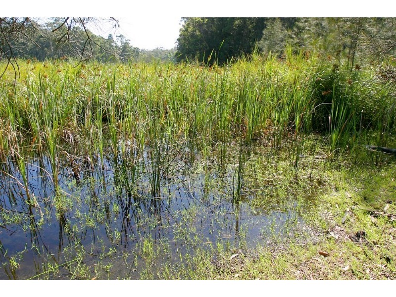 Lot 543 Sandy Place, Long Beach NSW 2536