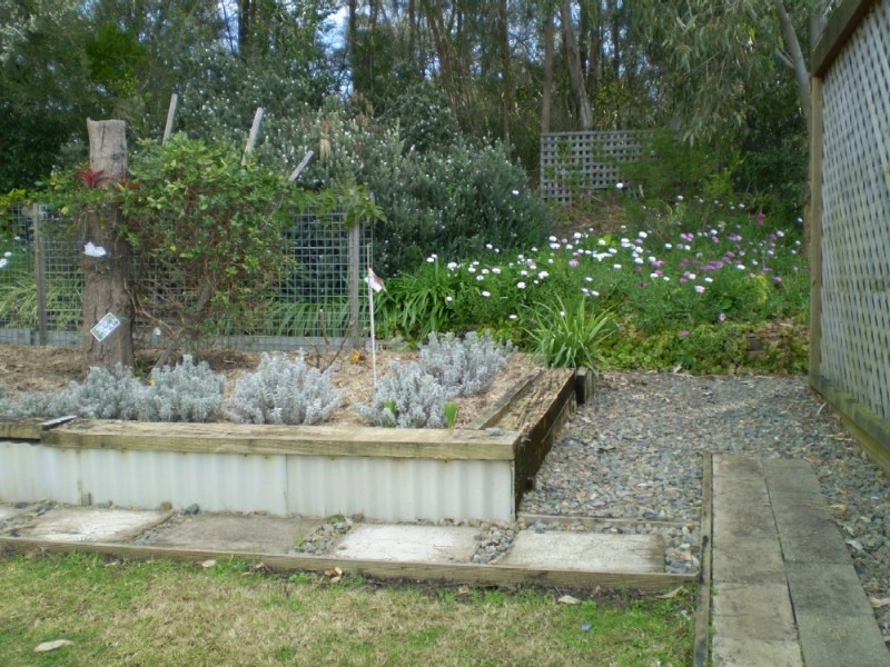 Site/42 Racecourse Beach Tourist Park, Bawley Point NSW 2539