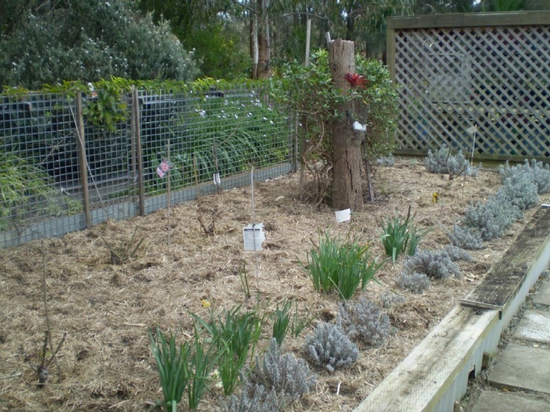 Site/42 Racecourse Beach Tourist Park, Bawley Point NSW 2539