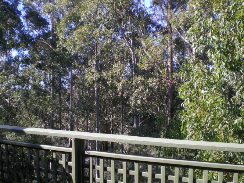 73 Heron Road, Catalina NSW 2536