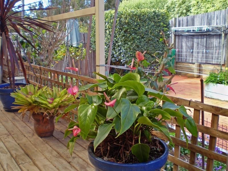 73A Hume Road, Denhams Beach NSW 2536