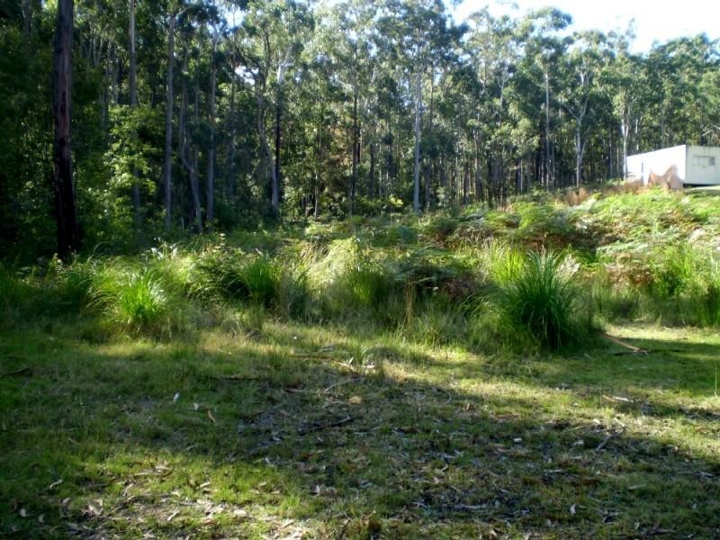 51 Tree Fern Place, Long Beach NSW 2536