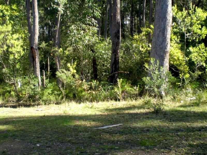 51 Tree Fern Place, Long Beach NSW 2536