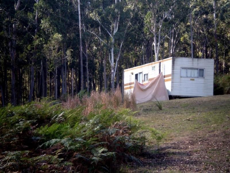 51 Tree Fern Place, Long Beach NSW 2536