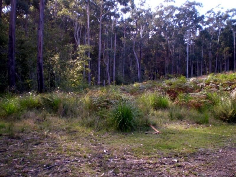 51 Tree Fern Place, Long Beach NSW 2536