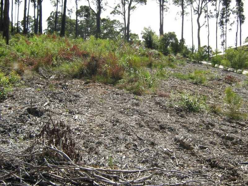 62 Bellbird Drive, Malua Bay NSW 2536