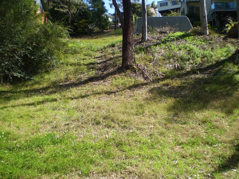 52 Catalina Drive, Catalina NSW 2536