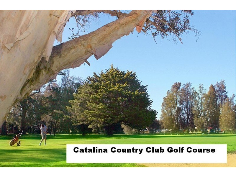 52 Catalina Drive, Catalina NSW 2536