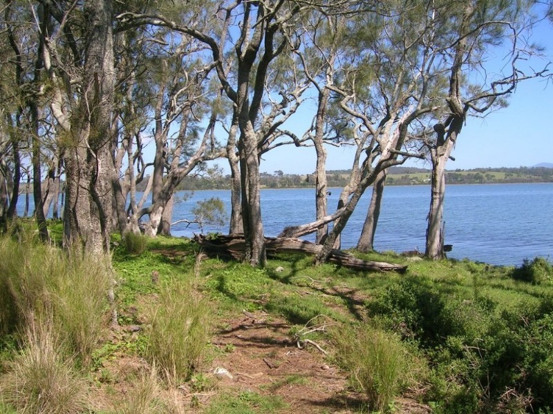 528 Bingie Road, Bingie NSW 2537