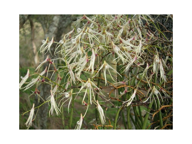 528 Bingie Road, Batemans Bay NSW 2536