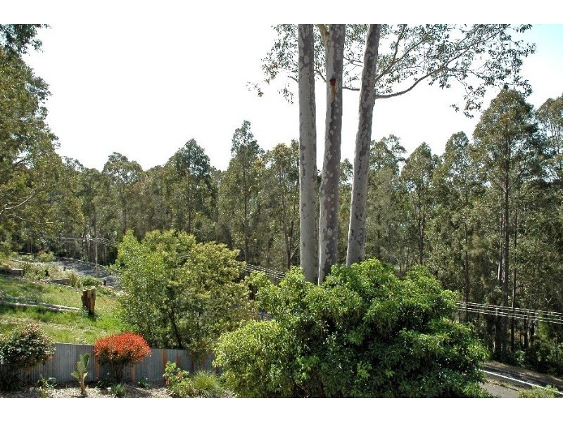 60 Catalina Drive, Catalina NSW 2536