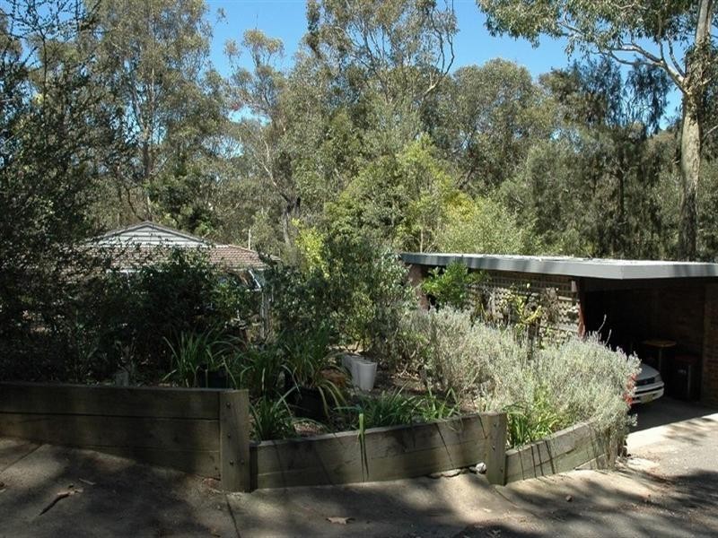37 Denise Drive, Lilli Pilli NSW 2536