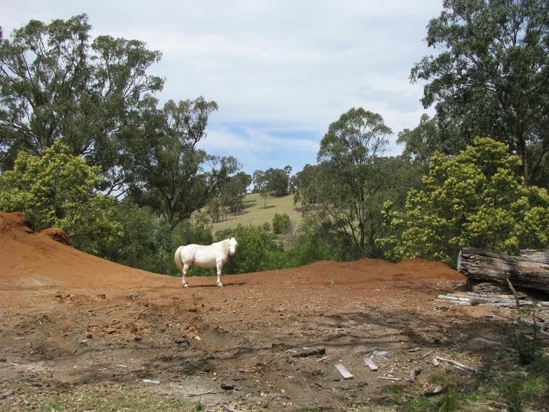 Lot 29 Old Bolara Mountain Road, Nelligen NSW 2536