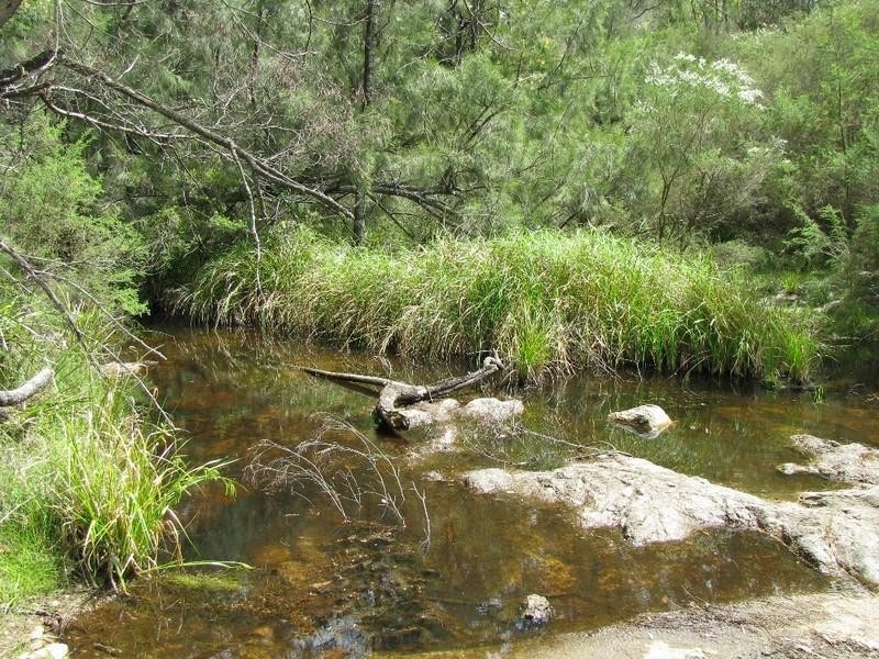 Lot 29 Old Bolara Mountain Road, Nelligen NSW 2536