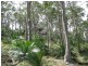 Lot 29 Old Bolara Mountain Road, Nelligen NSW 2536