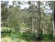 Lot 29 Old Bolara Mountain Road, Nelligen NSW 2536