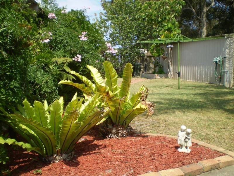 8 Merriwee Avenue, Malua Bay NSW 2536