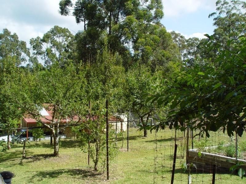 11189 Princes Highway, Benandarah NSW 2536