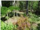 11189 Princes Highway, Benandarah NSW 2536