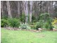 66 Berriman Drive, Congo NSW 2537