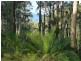Lot/12 George Bass Drive, Batemans Bay NSW 2536