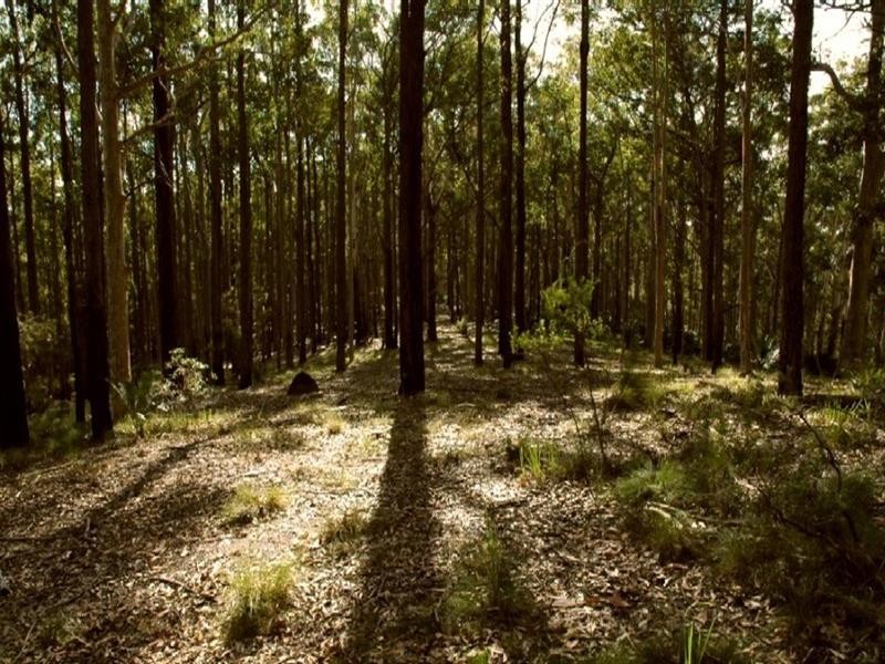 Lot/12 George Bass Drive, Batemans Bay NSW 2536