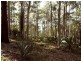 Lot/12 George Bass Drive, Batemans Bay NSW 2536