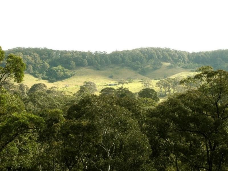 7 Roseby Drive, Rosedale NSW 2536