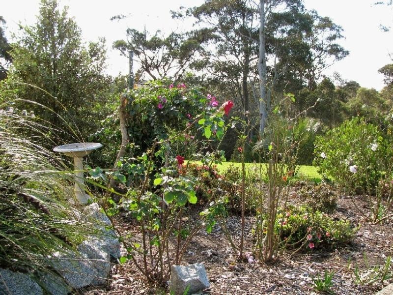 7 Roseby Drive, Rosedale NSW 2536