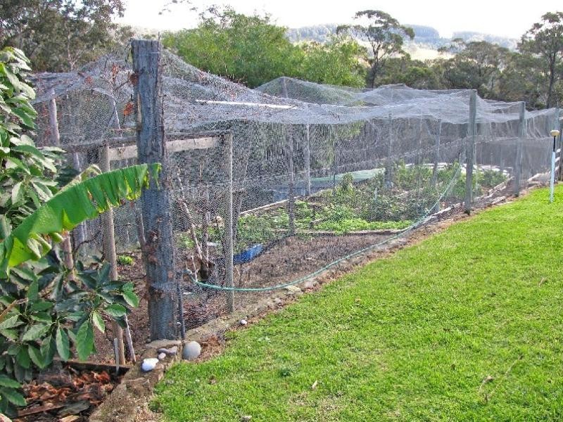 7 Roseby Drive, Rosedale NSW 2536