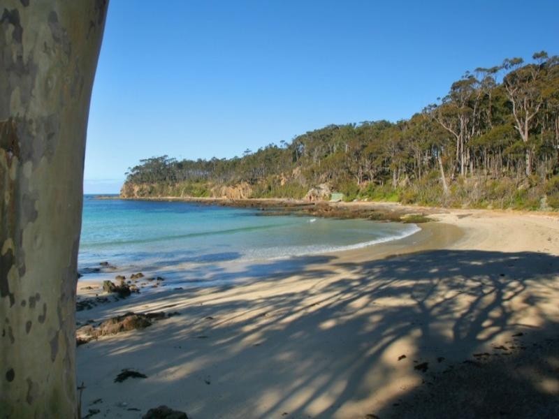 Lilli Pilli NSW 2536