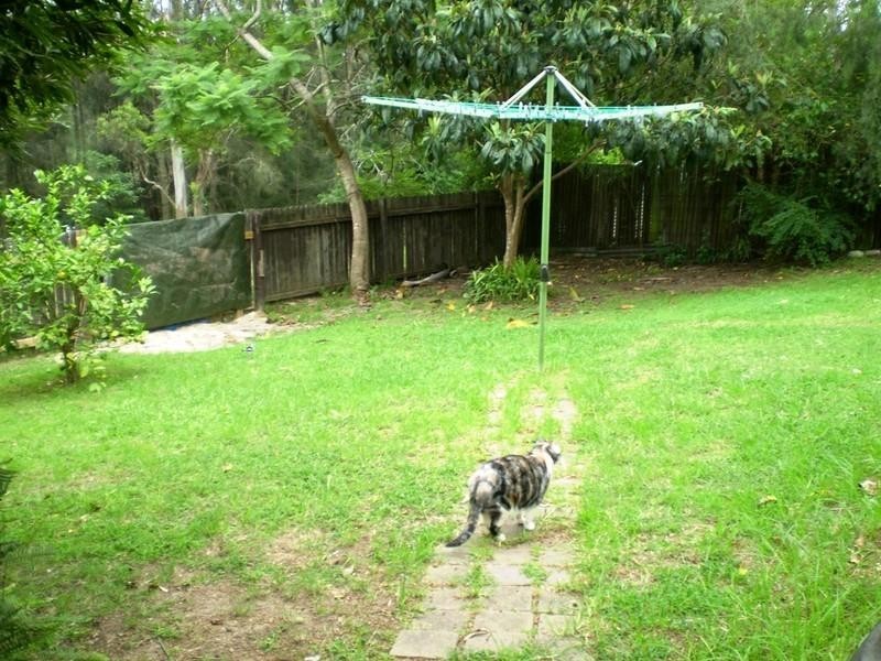 100 Country Club Drive, Catalina NSW 2536