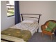 20 Braidwood Street, Nelligen NSW 2536