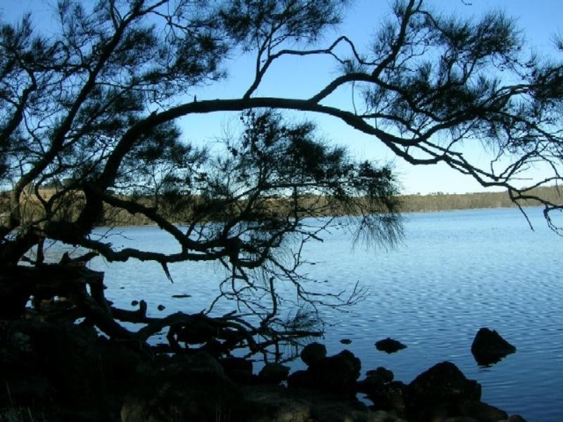 528 Bingie Road, Bingie NSW 2537