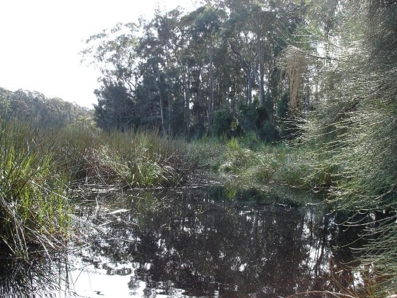 Lot/54 Sandy Place, Long Beach NSW 2536