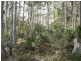 Lot/54 Sandy Place, Long Beach NSW 2536
