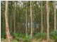 Lot/54 Sandy Place, Long Beach NSW 2536