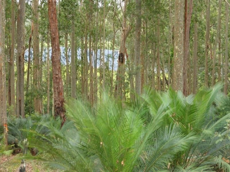 Lot/54 Sandy Place, Long Beach NSW 2536