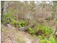 21 Roseby Drive, Rosedale NSW 2536