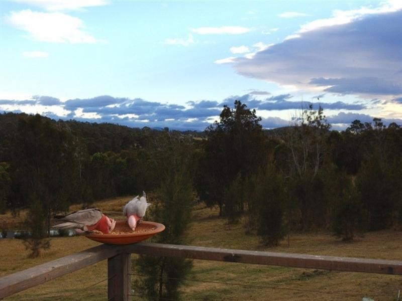 49 Arinya Place, Bingie NSW 2537