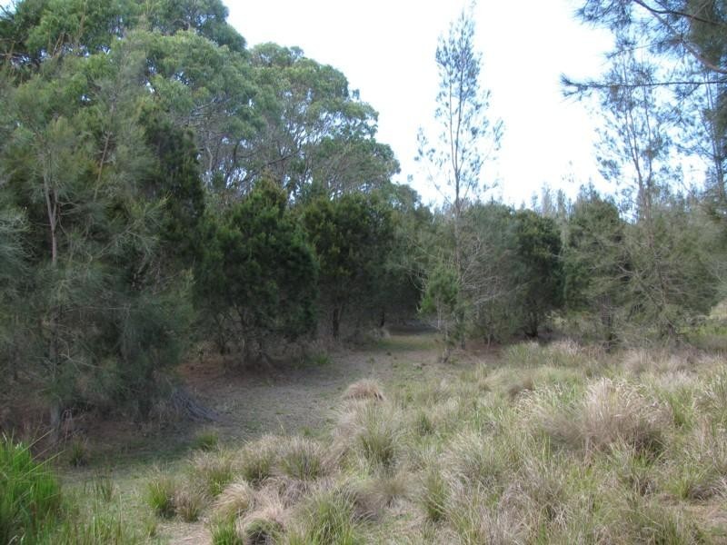 49 Arinya Place, Bingie NSW 2537