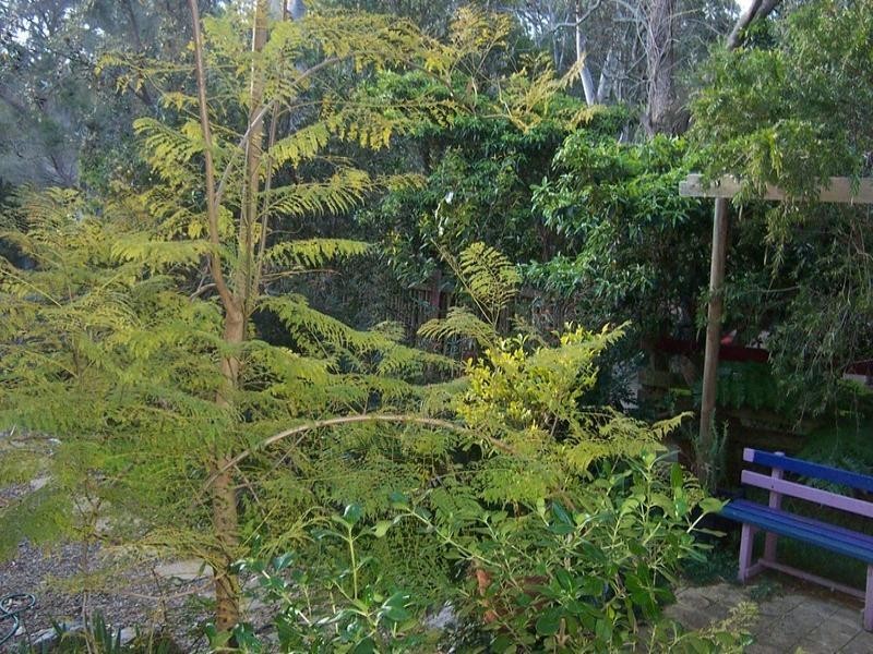 21 Rosedale Parade, Rosedale NSW 2536