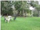 F3050 Princes Highway, East Lynne NSW 2536