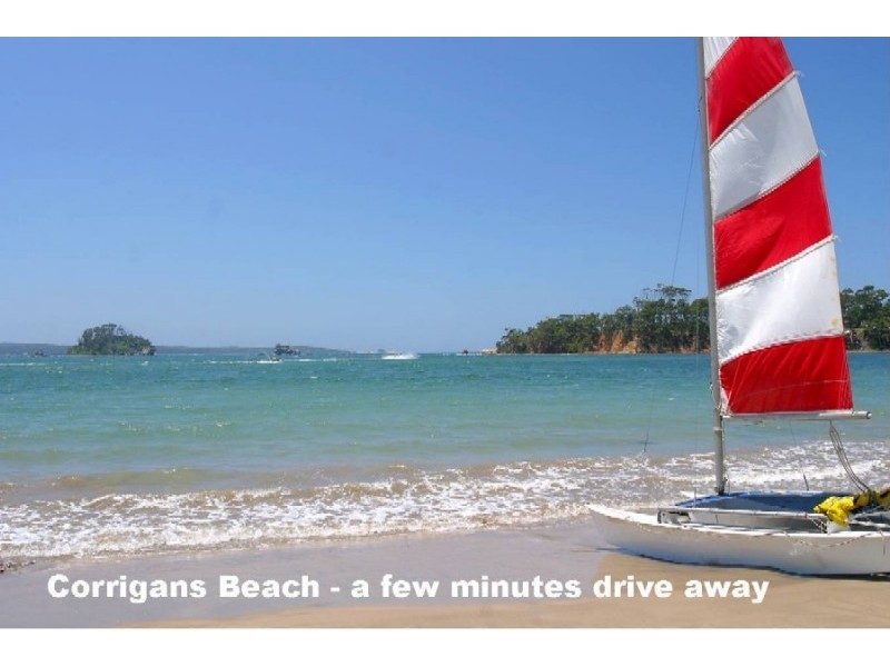 11 Sanctuary Place, Catalina NSW 2536