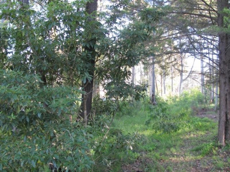 32 Annetts Parade, Mossy Point NSW 2537